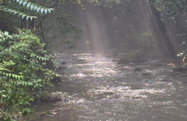 Villa FARFA - Foto 22