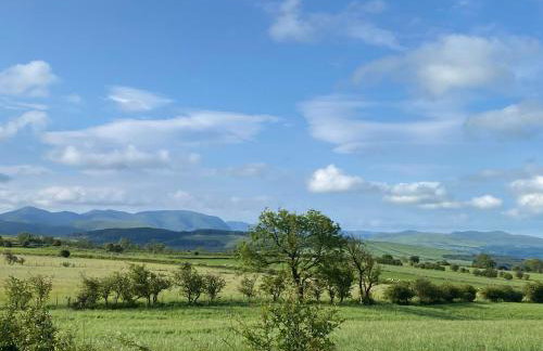 23 The Beeches - Foto 40