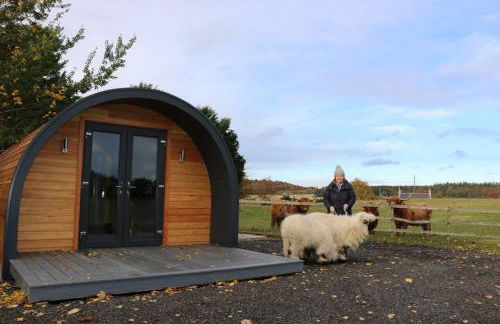 Glampods Glamping Pod - meet Highland Cows and Sheep Elgin - Foto 1