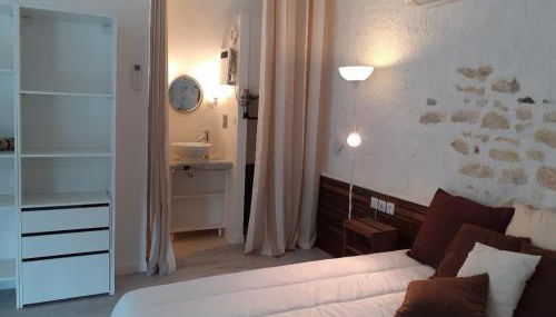 Gîte de charme proche du ZooParc de Beauval - 2 terrasses, jardin, cheminée, clim, parking gratuit - FR-1-491-408 - Photo 5