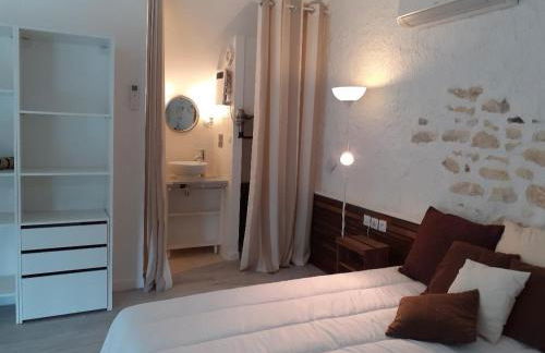 Gîte de charme proche du ZooParc de Beauval - 2 terrasses, jardin, cheminée, clim, parking gratuit - FR-1-491-408 - Foto 5