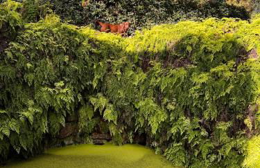 Quinta da Porta - Solar de Vale de Prazeres - Foto 19