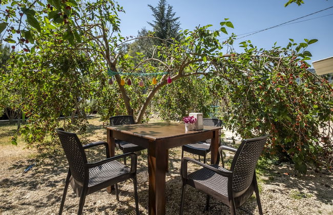 La Maison Hotel Çıralı - Foto 28