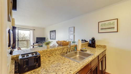 Beech Mtn Studio Less Than 1 Mi to Skiing Bring Your Pet! - Foto 5