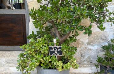 Old stone villa in Apokoronas Villa Nostalgia Kreta - Foto 49