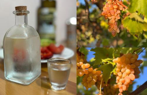 Sun N Sand - Foto 37