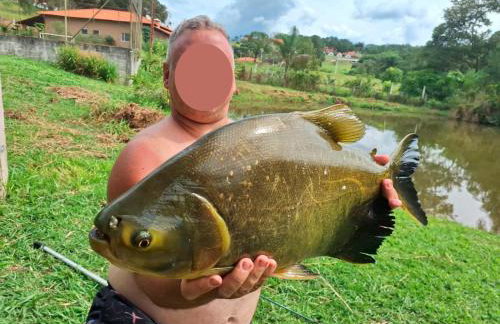 Chácara Pedacinho do Céu - Foto 6