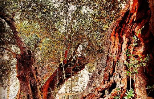 Rodi Studios - Foto 29