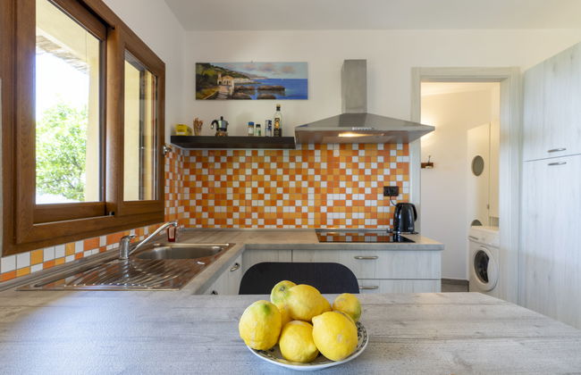 1 bedroom House in Vallebona with garden and terrace - Photo 9