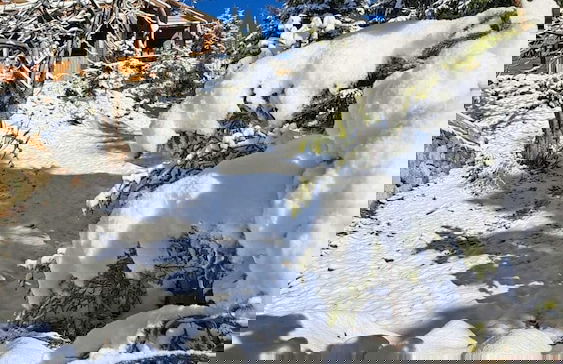 Ny Çambaşı - Foto 54