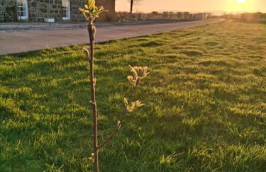 Ballymultimber Cottages - traditional cottages on the Causeway Coast - Foto 16