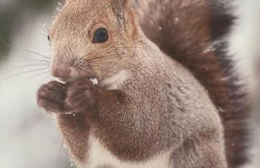 Très bel appartement au centre de Font Romeu - Foto 16