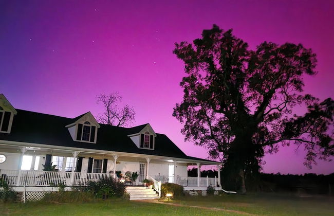 Phoenix Farms Vineyard - Foto 19