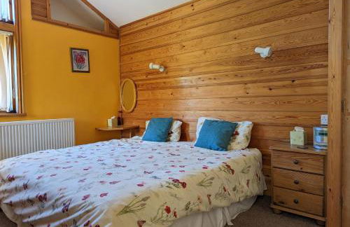 Bryn Elltyd Eco House - Foto 42