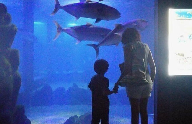 Casa Gianni Cala Gonone Mare - Photo 24