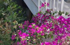 CASA VACANZA ANNA FRANK - CAMPOMARINO di MARUGGIO (TA) - Foto 5