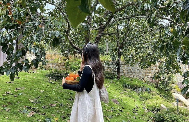 Scent Bungalow - Foto 45