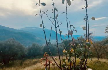 Torretta Margiotta - Foto 10