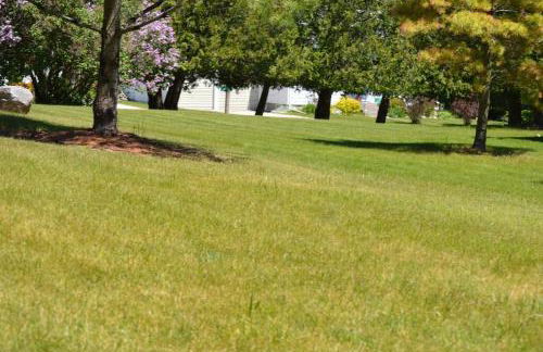 Carraig Beag Cottage - Foto 20