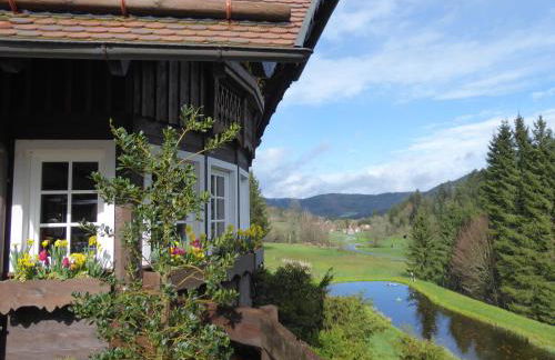 Schwarzwald-Ferienwohnungen Begert - Foto 66