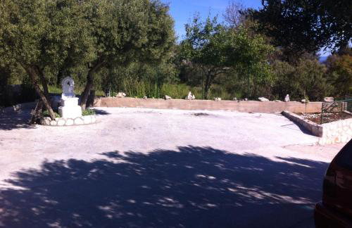 Apartman Igor - Photo 32