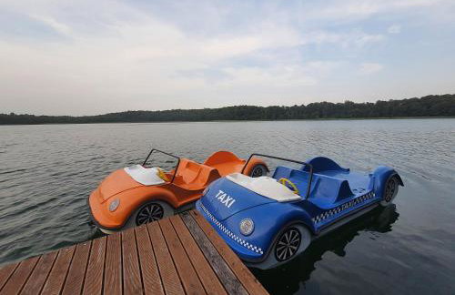 Bukowa Ostoja - Foto 80