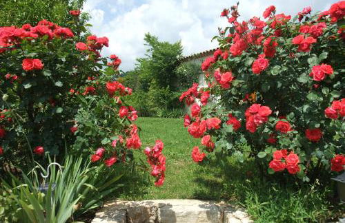 Gite La Paillote - Foto 69