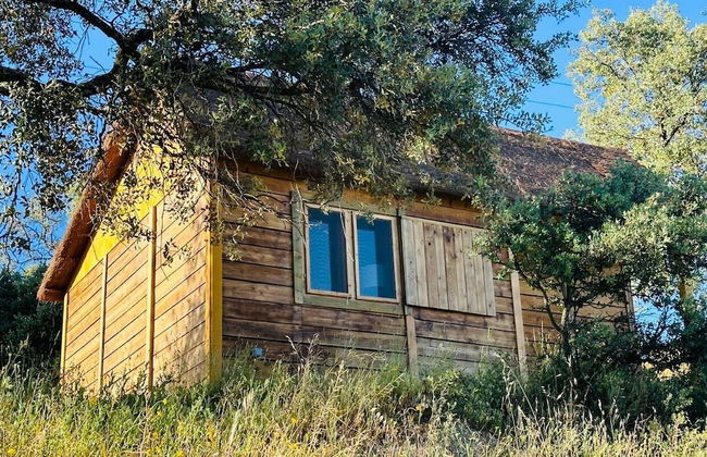 Hamlet's Friends - Foto 52