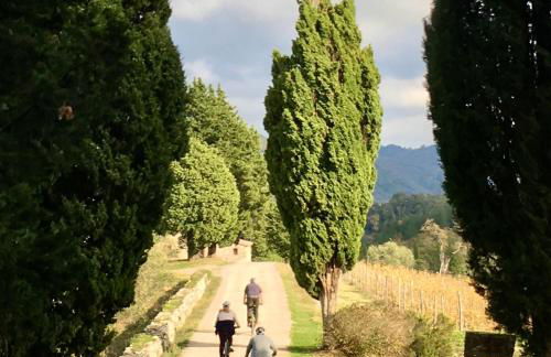 Capannelle Wine Resort - Foto 44