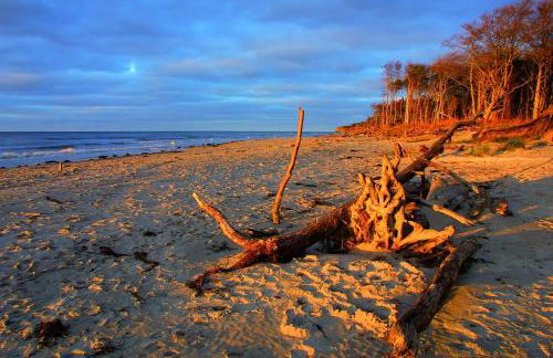 Ferienwohnungen Fischland - Foto 86
