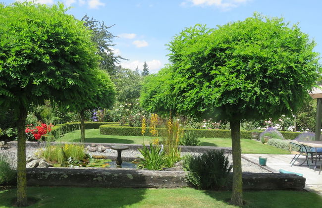 Marchmont Gardens - Photo 19