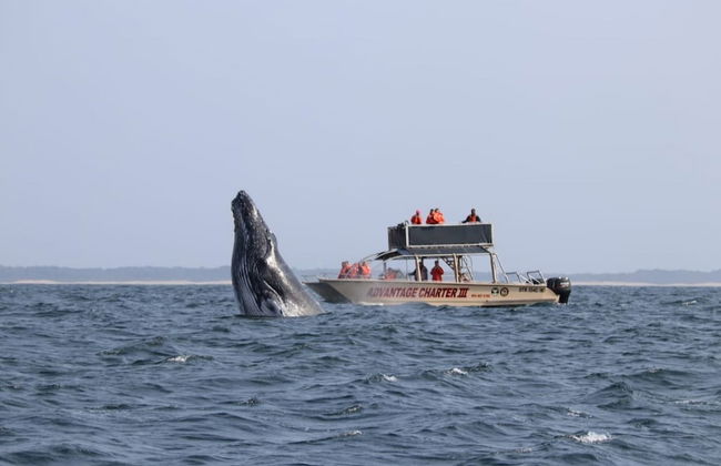 St Lucia Wilds - Foto 56