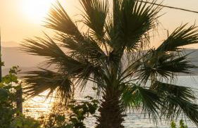 suite apartment Αdonis - Foto 19