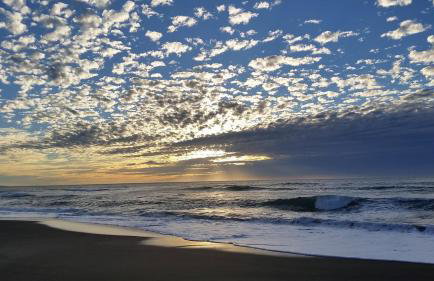 Amazing Getaway Oceanview with treehouse feel - Foto 32