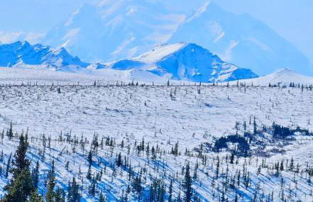 Moose-AKa's Cabins - Foto 75