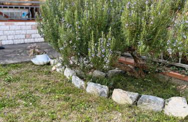 CASA MIA MALVA - Photo 39