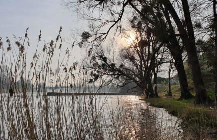 Les Gites Du Moulin Du Port - Foto 29