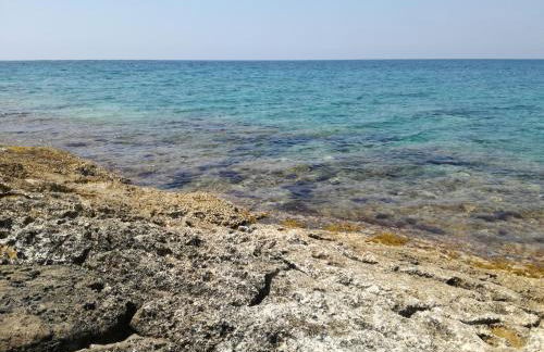 Civico57 Torre Suda - Foto 30