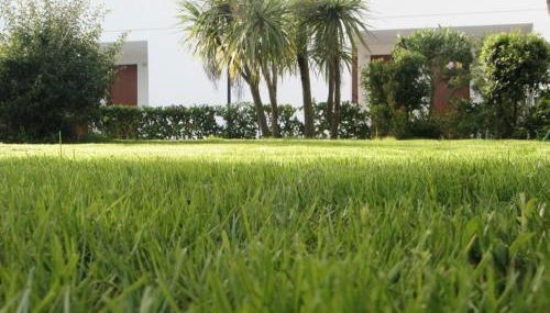 Tenuta Don Monaco - Agriturismo - Foto 3, Garden