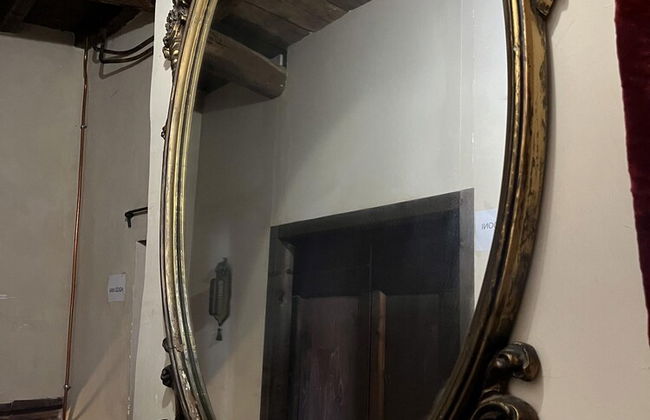 Preta Nera Van Gogh in Giuliano di Roma - Foto 32