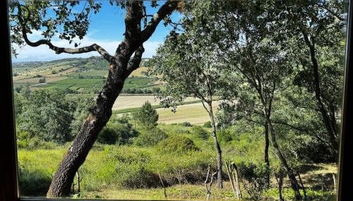 The Bungalow - Quinta da BellaVista - Foto 3