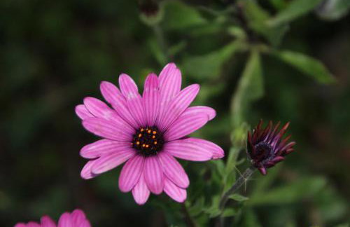 Gane Landetxea - Foto 14