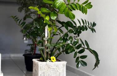 Duplex Central TAVARES ARAUJO - Foto 23