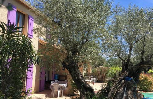 VILLA PROVENCALE AVEC PISCINE et SPA - Foto 13