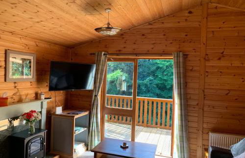 Teviot Lodge - Sleeps 6 - Pets - River Views - Foto 7