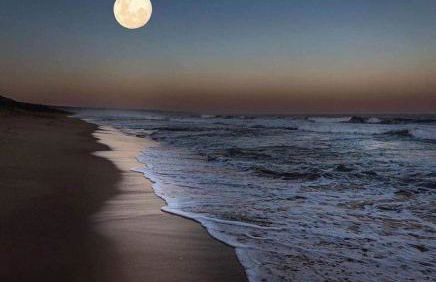 Casa verde - Foto 42