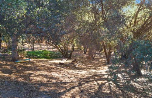 Bear Hollow by Sequoia National Park - Foto 61