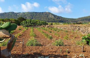 La casa sotto le stelle - Ustica - Foto 24