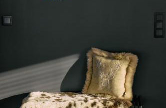 Trzy Szyszki Maniowy Domki Jezioro Czorsztyńskie Balia oraz Sauna w cenie - Photo 68