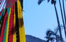 Quinta da Pedra do Elefante - Foto 27